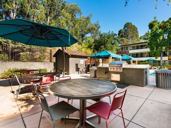 Built-In Grill with Fire Pit